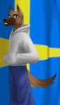  canine clothing dog flag fur german_shepherd jeans looking_at_viewer male mammal pants smile solo sweden swedish_flag 