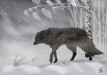  ambiguous_gender canine detailed_background digital_media_(artwork) dsw7 feral fur grey_fur mammal nude paws snow snowing solo standing wolf 