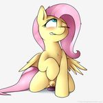  2017 anal anal_penetration blue_eyes blush chest_tuft clitoris equine feathered_wings feathers female feral fluttershy_(mlp) friendship_is_magic fur hair mammal my_little_pony neighday one_eye_closed pegasus penetration pink_hair pussy solo sweat teeth toy tuft wings yellow_fur 
