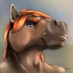  2017 adecristo blue_eyes brown_fur equine fur hair horse looking_at_viewer low-angle_view male mammal orange_hair portrait smile solo 