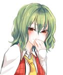  alternate_eye_color bangs collared_shirt covering_mouth eyebrows_visible_through_hair eyes_visible_through_hair giggling green_hair hair_between_eyes kazami_yuuka long_sleeves looking_at_viewer mappe_(778exceed) necktie open_clothes open_vest orange_eyes plaid plaid_vest red_vest shiny shiny_hair shirt short_hair sketch smile solo touhou upper_body vest wavy_hair white_shirt yellow_neckwear 