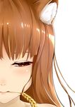  absurdres animal_ears bangs brown_hair c_(pixiv3064042) close-up eyelashes face highres holo lips long_hair looking_to_the_side mouth_hold pink_lips red_eyes simple_background solo spice_and_wolf wheat white_background wolf_ears 