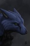  ambiguous_gender black_nose blue_fur canine digital_media_(artwork) dsw7 feral fox fur green_eyes mammal simple_background 