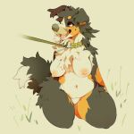 2020 anthro bdsm bernese_mountain_dog big_breasts breasts brown_body brown_fur brown_tail canid canine canis chest_tuft collar collar_only countershading d1cknballs digital_media_(artwork) domestic_dog female full-length_portrait fur grass green_collar grey_nose hi_res kneeling leash leashed_collar lulu_(thorn_paw) mammal markings mole_(marking) molosser mountain_dog navel nipples nude open_mouth open_smile orange_body orange_fur petplay pink_nipples pink_tongue plant portrait roleplay simple_background slightly_chubby slightly_chubby_anthro slightly_chubby_female smile solo swiss_mountain_dog tail tan_background tan_body tan_breasts tan_countershading tan_fur tan_tail teeth tongue tuft
