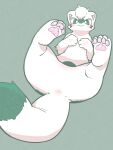 2022 4_fingers 4_toes anthro anus blush domestic_ferret ekosho feet fingers fur green_background green_eyes hair happy hi_res looking_at_viewer lying male mammal mustelid musteline on_back pawpads simple_background solo spread_legs spreading tail toes true_musteline weasel white_body white_fur white_hair