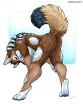 2015 anthro breasts brown_fur canine digitigrade dog fluffy fluffy_tail fur green_eyes kashmere mammal nude simple_background smile solo standing under_boob 