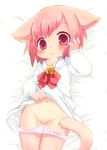  anthro bed bell blush cat clothing cub dress feline female fur hair kishibe looking_at_viewer lying mammal navel nipples on_back panties panties_down pink_hair shy simple_background solo tan_fur underwear upskirt white_background young 