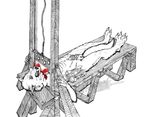  erection feline guillotine male mammal snuff solo torture 
