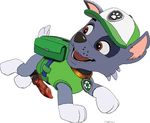 animal_genitalia animal_penis balls canine canine_penis chipper_(artist) cub cute dog erection hat knot male mammal paw_patrol paws penis rocky_(paw_patrol) running solo young 