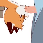  animated anthro aogami balls canine cub fellatio fox kipfox male male/male mammal oral penis sex young 