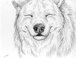  canine invalid_tag mammal pencil_(disambiguation) sketch smile solo timbress wolf 