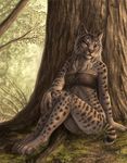  2017 anthro bra clothing feline female grass leaves mammal rukis sitting smile solo tree underwear 