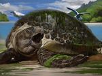  cloud feral fin flying group jeff_simpson landscape lying magic_the_gathering official_art on_front open_mouth quadruped reptile scalie seegull shell solo_focus spread_wings turtle wings 