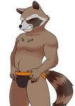  anthro bulge clothing guardians_of_the_galaxy male mammal marvel purico raccoon rocket_raccoon solo underwear 