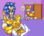 abs absurd_res big_breasts big_penis breasts canine crying fox hedgehog hi_res mammal miles_prower nirriti nude penetration penis sex small_penis sonic_(series) sonic_boom sonic_the_hedgehog tears zooey_the_fox 