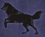  animal_genitalia canine darkicewolf digital_media_(artwork) feral male mammal sheath solo wolf 