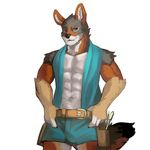  ainro bulge canine clothing coyote gachimuchi mammal ochropus tool_belt tools 
