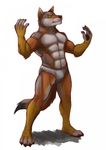  bluechance canine clothing cosplay coyote mammal muscular ochropus underwear 