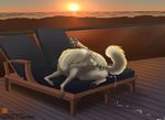  after_sex american_eskimo_dog animal_genitalia animal_pussy anus autocunnilingus canine canine_pussy chair cum cum_drip cum_in_pussy cum_inside cum_on_feet cum_pool detailed_background digitigrade dog dripping female feral fur incorgnito licking_self lounge_chair lying mammal masturbation on_side one_leg_up oral pawpads pussy sea solo spread_legs spreading sunset tongue tongue_out vaginal water white_fur 