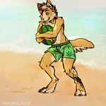  anthro beach bishkah291ax48 board_shorts canine clothed clothing fur hair male mammal outside seaside sketch smile solo standing topless 