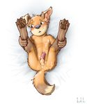  2015 anthro balls bed butt canine cum dog fur hair iztli male mammal paws penis young 