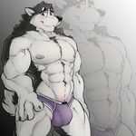  2016 abs anthro biceps biped black_claws black_fur black_nose black_tail blowup_background blue_eyes blush briefs bulge canine claws clothed clothing digital_media_(artwork) dog eyebrows front_view fur husky looking_at_viewer male mammal mnty multicolored_fur multicolored_tail muscular muscular_male nipples pecs pink_nipples portrait purple_bottomwear purple_clothing purple_underwear shy simple_background smile snout solo standing three-quarter_portrait topless two_tone_fur two_tone_tail underwear white_fur white_tail 