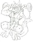  angel_dragon anthro bulge dragon exercise fur furred_dragon hopelesshighschool male monochrome muscular sckhar solo weightlifting workout 