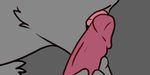  2016 ambiguous_gender animated close-up duo erection felineelement female grey_background licking loop male penis rotoscoped simple_background tongue tongue_out 