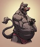 belly big_belly bulge canine clothing eyes_closed fangs fur grey_fur hand_on_stomach male mammal muscular neodokuro open_mouth speedo swimsuit tongue tuft wolf 