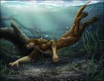  4_toes 5_fingers anthro black_nose blue_eyes brown_fur day digitigrade fish fur male mammal marine mustelid nude otter outside sidonie toes underwater water whiskers 