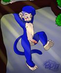  balls barefoot bluepawpanda blush circumcised dangling front-view humanoid_penis male mammal monkey navel nipples nude outside penis primate signature slim solo tree 