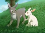  detailed_background duo feral fur grass green_eyes grey_fur jay-kuro lagomorph mammal orange_eyes outside rabbit smile white_fur 
