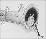  anthro arthropod butterfly canine clarinet foskybleu fox fur grass insect leaf log male mammal musical_instrument wood 