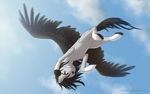  black_feathers brown_eyes brown_hair cutie_mark equine fan_character feathered_wings feathers female feral flying hair jay-kuro looking_at_viewer mammal my_little_pony pegasus sky smile solo wings 