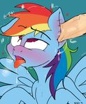  cum cum_in_ear equine female feral friendship_is_magic fucked_silly hair horse mammal multicolored_hair my_little_pony open_mouth pegasus pink_eyes pony rainbow_dash_(mlp) rainbow_hair rhk saliva tongue tongue_out wings 