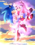  2017 amy_rose female fur hedgehog male mammal myly14 sonic_(series) sonic_the_hedgehog 