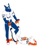  9x9 anthro ballbusting blue_(mascot) bottomless bulge clothed clothing cock_and_ball_torture denver_broncos equine horse indianapolis_colts male mammal miles_(mascot) nfl simple_background stomping 