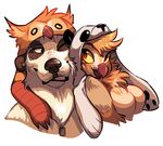  avian bear bird blush breasts dog_tags featureless_breasts female gryphon hat hoot male male/female mammal mostly_nude owl panda romantic_couple sad_panda_in_snow sona_(noxiis) 