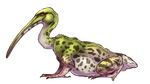  alpha_channel amphibian beak cheetahtrout frog hybrid ibis quadruped side_view simple_background transparent_background webbed_feet 