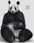  anthro bear breasts claws cosmiclife female fur mammal multicolored_fur nipples panda pinup pose pussy solo two_tone_fur 