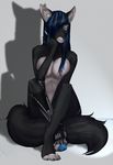  anthro bionic_leg breasts canine female hair looking_at_viewer mammal nipples sitting smile solo stesha_di 