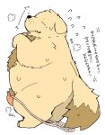 2024 anthro brown_body bulge canid canine canis clothing domestic_dog eyes_closed gayousi7 hi_res japanese_text kemono male mammal overweight overweight_male pubes simple_background solo text underwear white_background