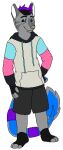 2015 aliasing alpha_channel anthro barefoot black_bottomwear black_clothing black_eyebrows black_hair black_shorts blue_markings bottomwear canid canine canis clothed clothing digital_drawing_(artwork) digital_media_(artwork) domestic_cat domestic_dog drawstring_hoodie eyebrows feet felid feline felis flat_colors full-length_portrait fully_clothed fur grey_body grey_fur grey_sclera hair hand_on_hip hand_on_own_hip highlights_(coloring) hindpaw hoodie hybrid low_res male mammal markings paws plantigrade portrait purple_highlights sebdoggo shorts simple_background smile snout solo standing tail tail_tuft tan_nose topwear transparent_background tuft white_inner_ear
