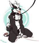  2017 4_toes 5_fingers anthro black_fur black_nose bulge canine claws clothing collar digital_media_(artwork) dipstick_tail dog ear_piercing facial_piercing fingerless_(marking) fur gauged_ear harness hi_res hindpaw jockstrap kneeling leash male mammal multicolored_fur multicolored_tail pawpads paws piercing pink_pawpads pink_tongue rubber saliva slightly_chubby solo spiral_eyes teeth toe_claws toes tongue tongue_out two_tone_fur two_tone_tail underwear white_fur zummeng 