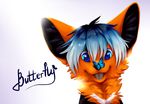  arthropod blue_eyes blue_hair butterfly canine duo fennec fox fur hair insect mammal open_mouth orange_fur reysi simple_background smile teeth tongue white_background 
