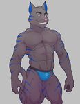  abs biceps blue_bottomwear blue_clothing blue_markings cat cheek_tuft chin_tuft clothed clothing colored digital_drawing_(artwork) digital_media_(artwork) feline front_view fur grey_background grey_fur head_tuft jockstrap knuxlight light looking_at_viewer male mammal manly markings muscular muscular_male navel pecs pink_nose portrait pose quads serratus shaded simple_background solo three-quarter_portrait topless tuft underwear 