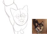 &lt;3 2017 animated canine cute dog male mammal scarf senz shiba_inu tongue 