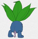  anus butt feral flora_fauna looking_back male nintendo oddish pencil_(artwork) penis plant pok&eacute;mon python13rp simple_background solo traditional_media_(artwork) unusual_penis video_games white_background yaroul 