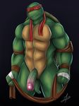  anthro bakameganekko male penis raphael_(tmnt) reptile scalie solo teenage_mutant_ninja_turtles turtle 