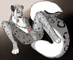  2016 balls cum digital_media_(artwork) eyewear feline glasses konkitty_(artist) leopard lying male mammal masturbation nude on_back penis simple_background snow_leopard solo tuft 